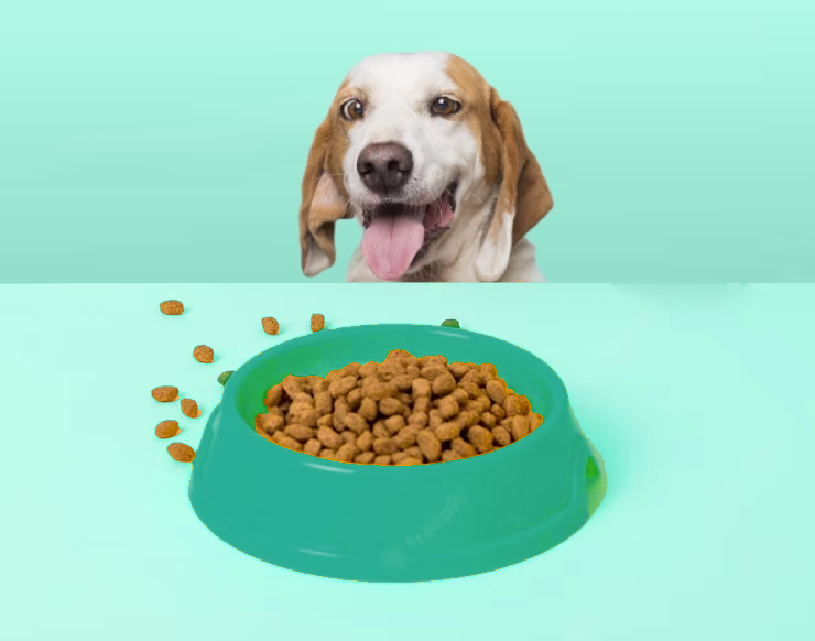 ���� ������